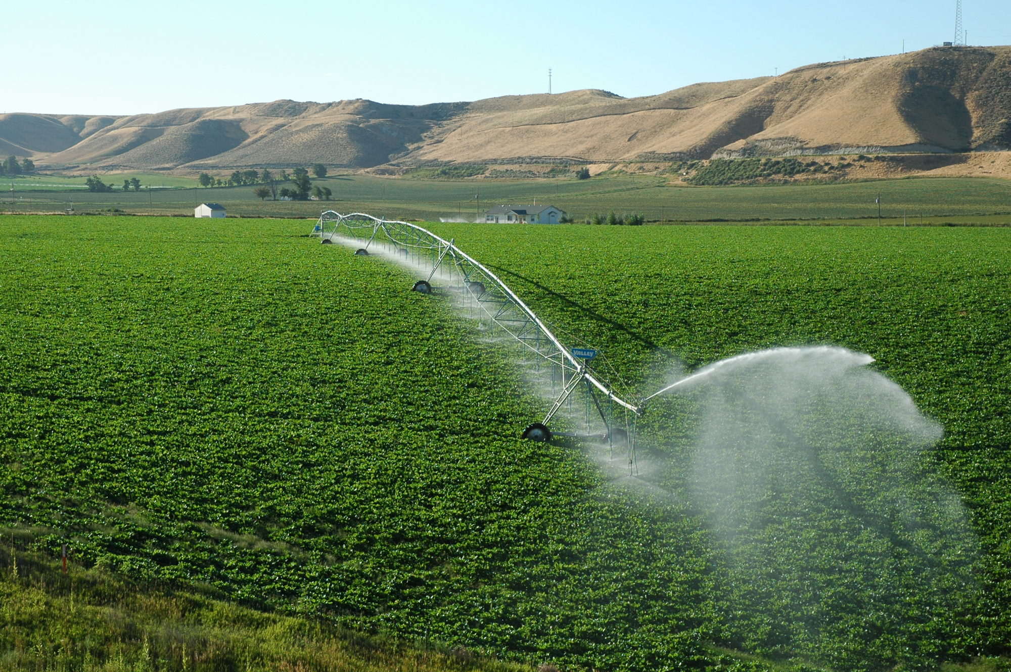 Potatoes Idaho State Department of Agriculture