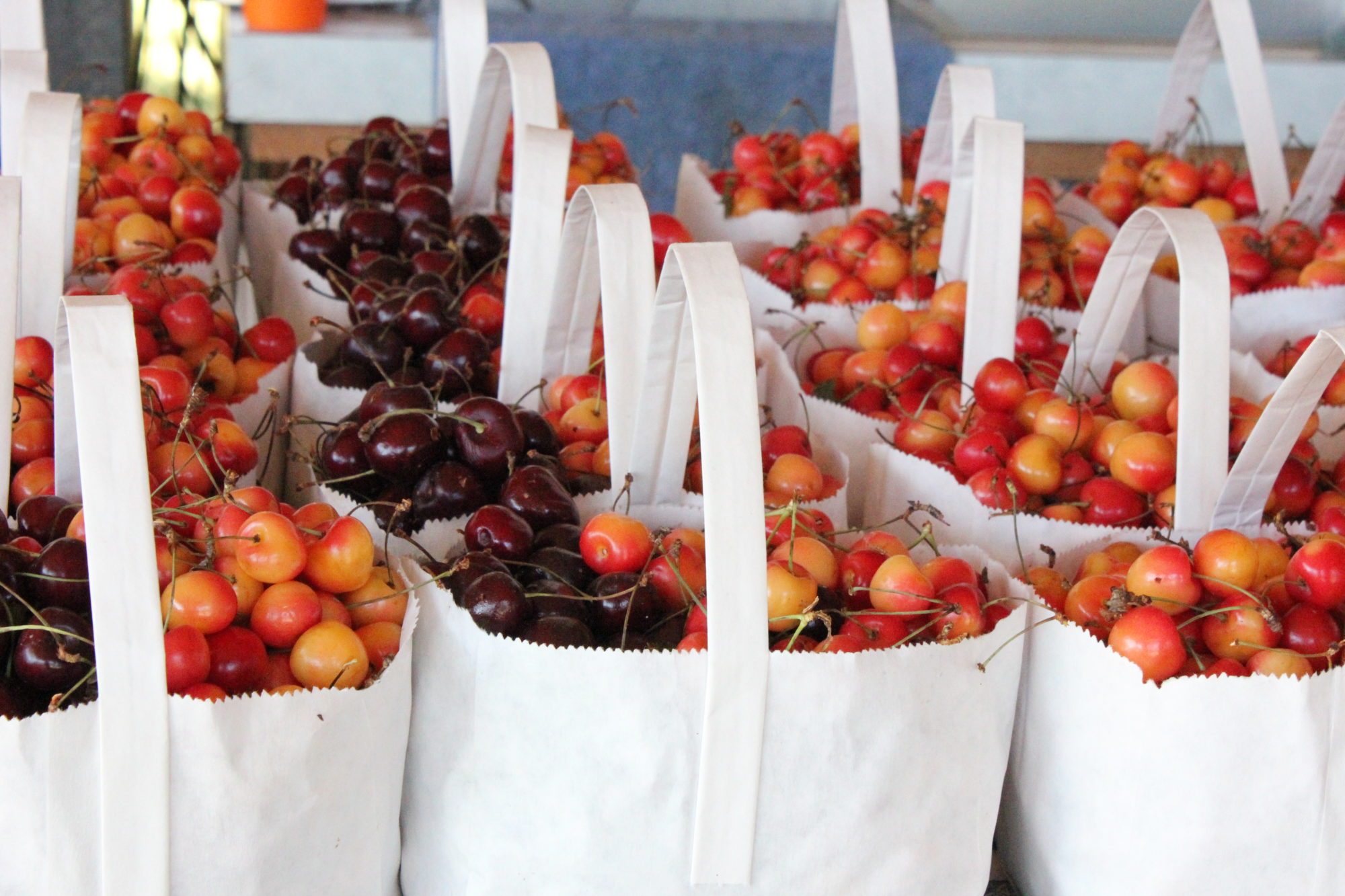 Variety of cherries in bags