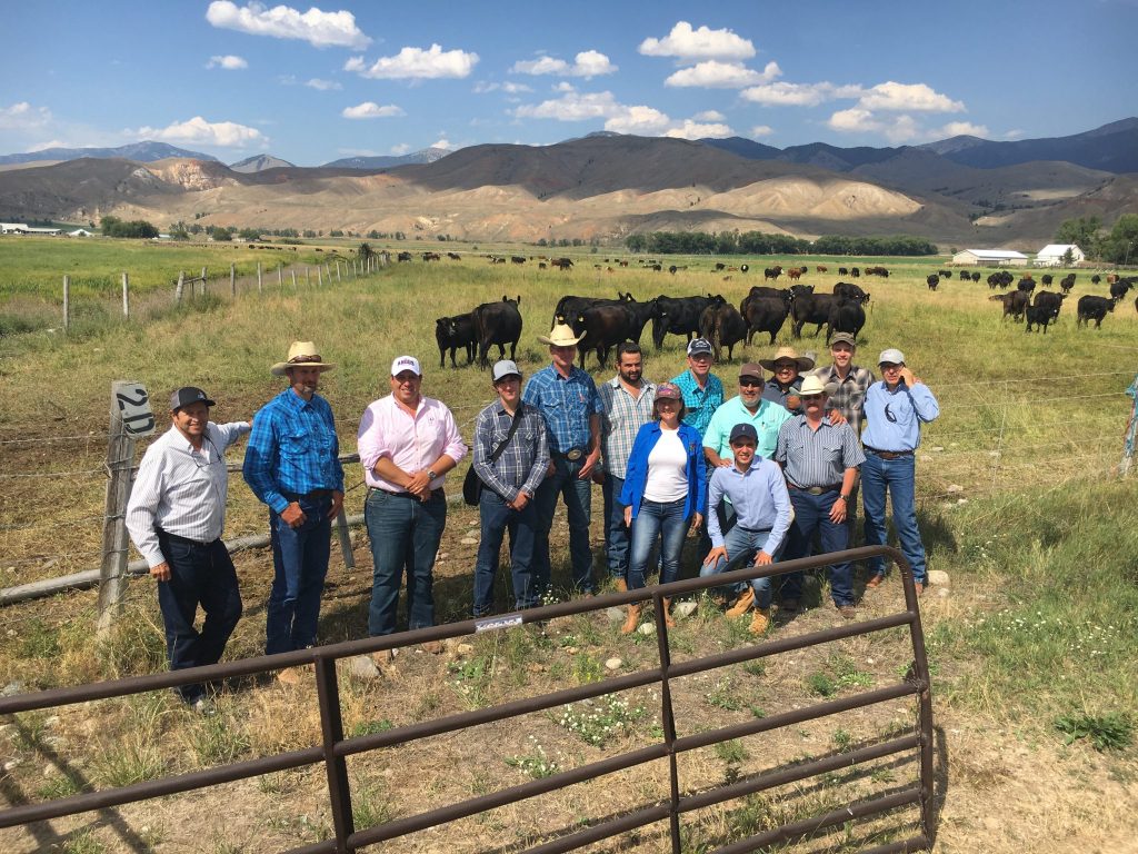 USLGE Beef Cattle Group photo