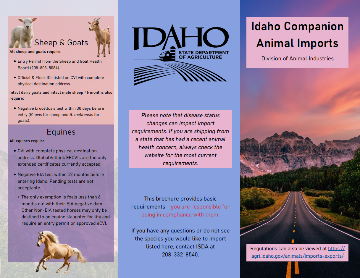 Preview image of brochure with companion animal import requirements