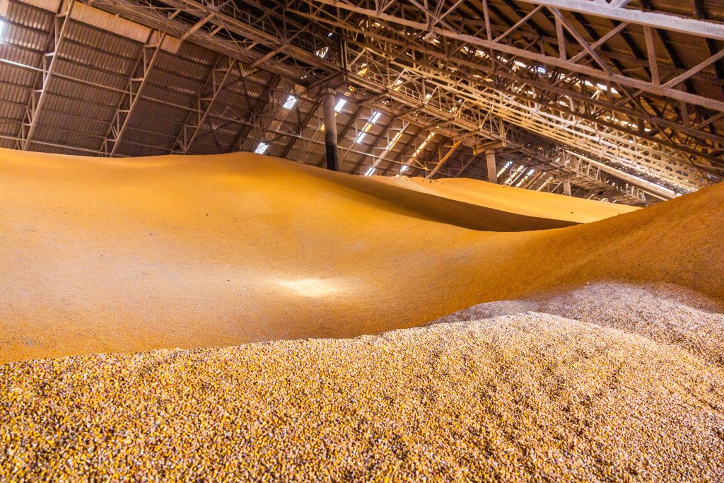 Warehouse full of grain