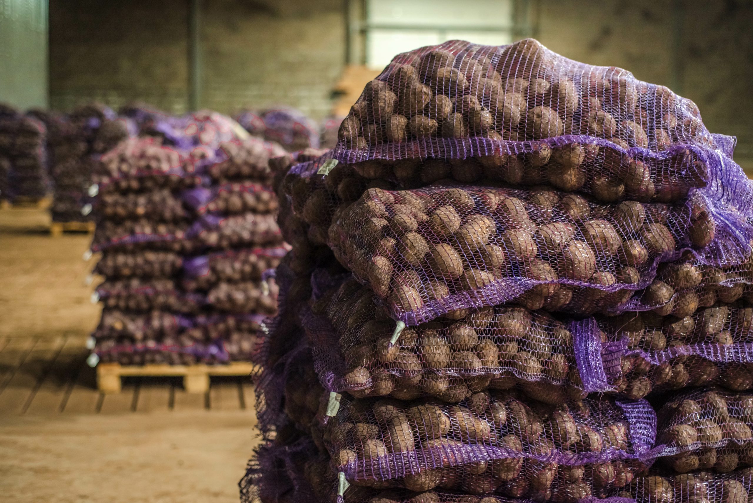 Bags of potatoes in storage.