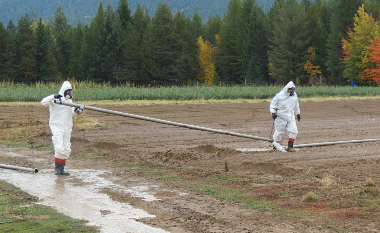 Ag workers in PPE
