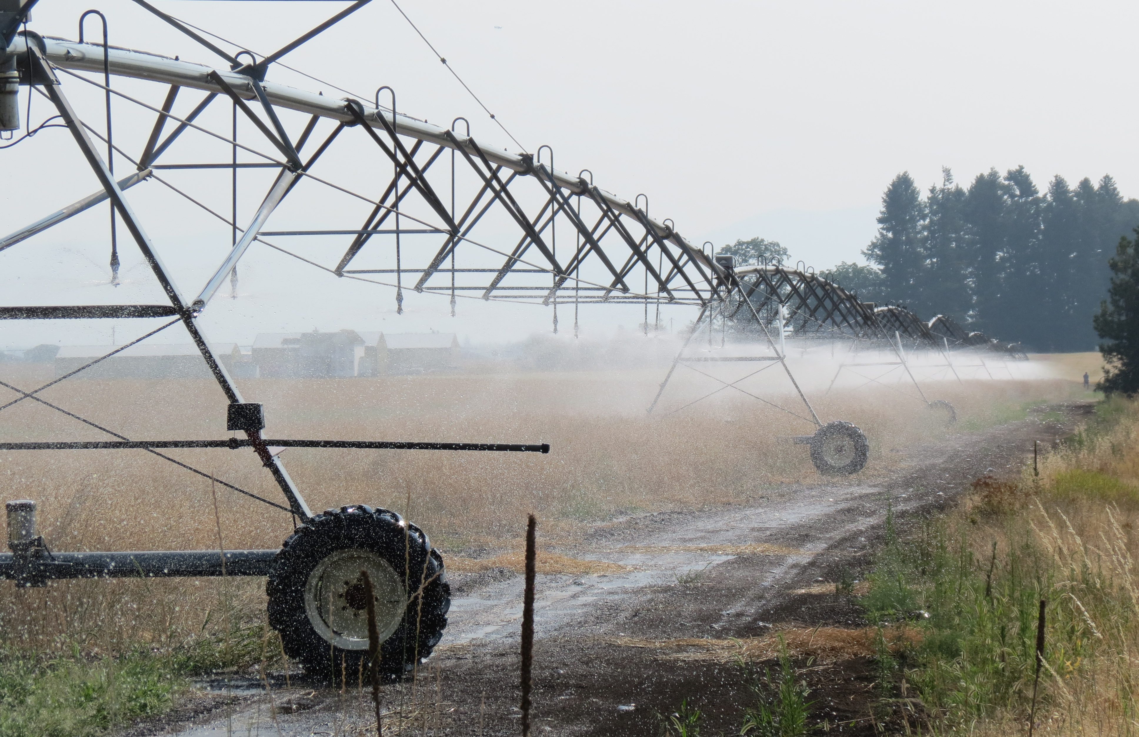 Large farm sprinkler.