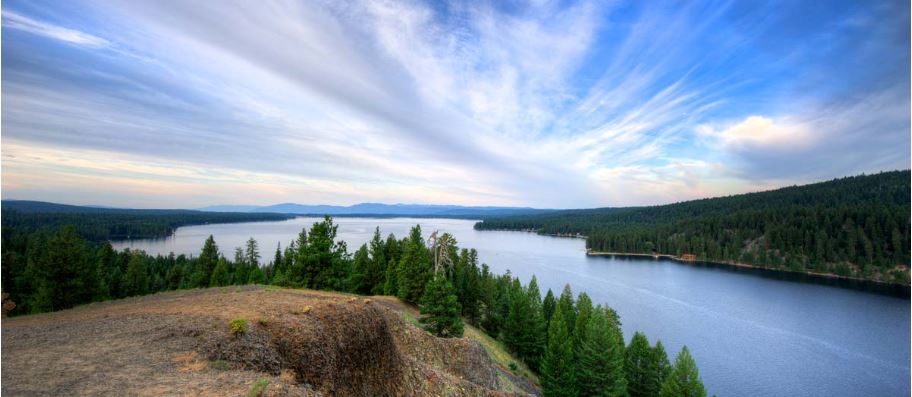 View overlooking lake.