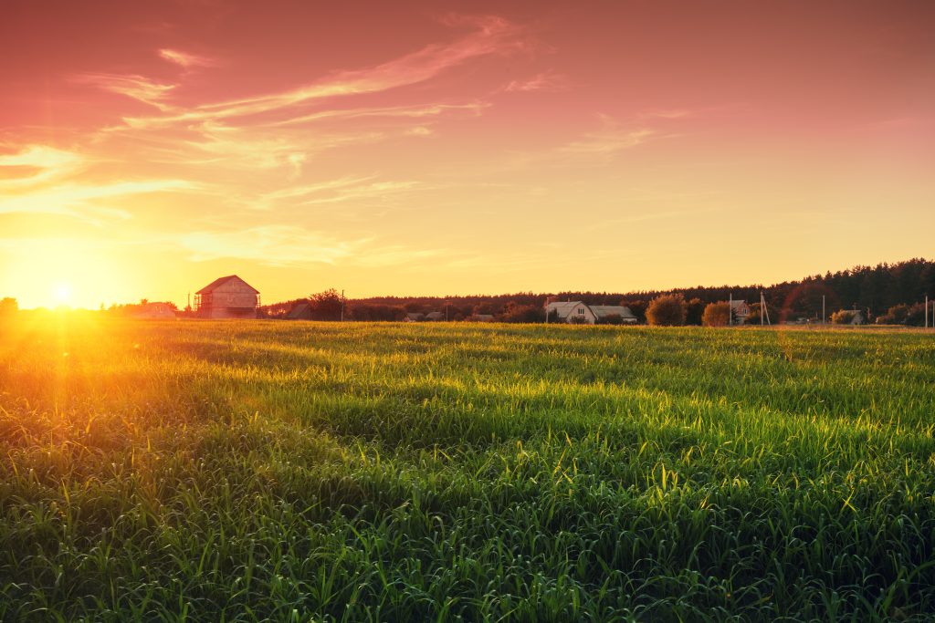 Image of a green field at sunset with golden hour light and some barn-type structures in the distance