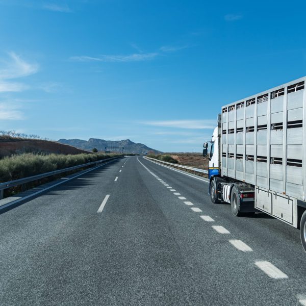 Image of a livestock truck driving in the right lane of an interstate-type road.
