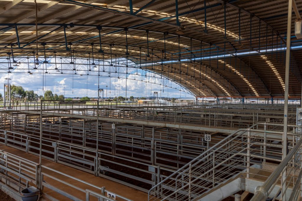 Image of pens under cover at a livestock market
