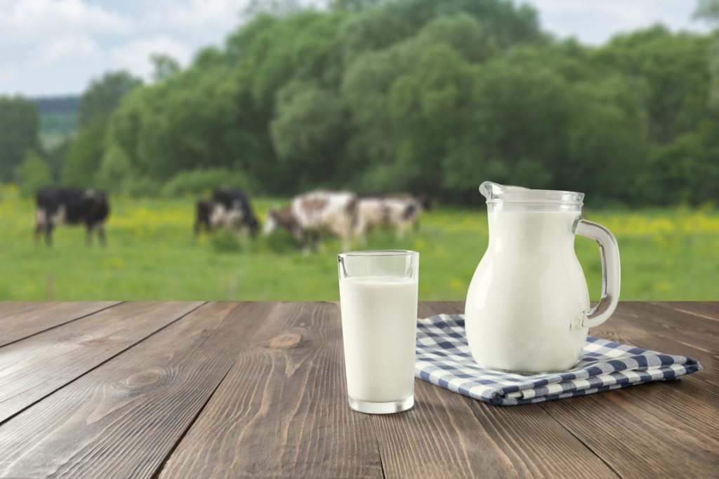 A pitcher of milk and a glass of milk on a table in a field