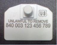 Image of a Datamars 840 official identification tag. Image from USDA.
