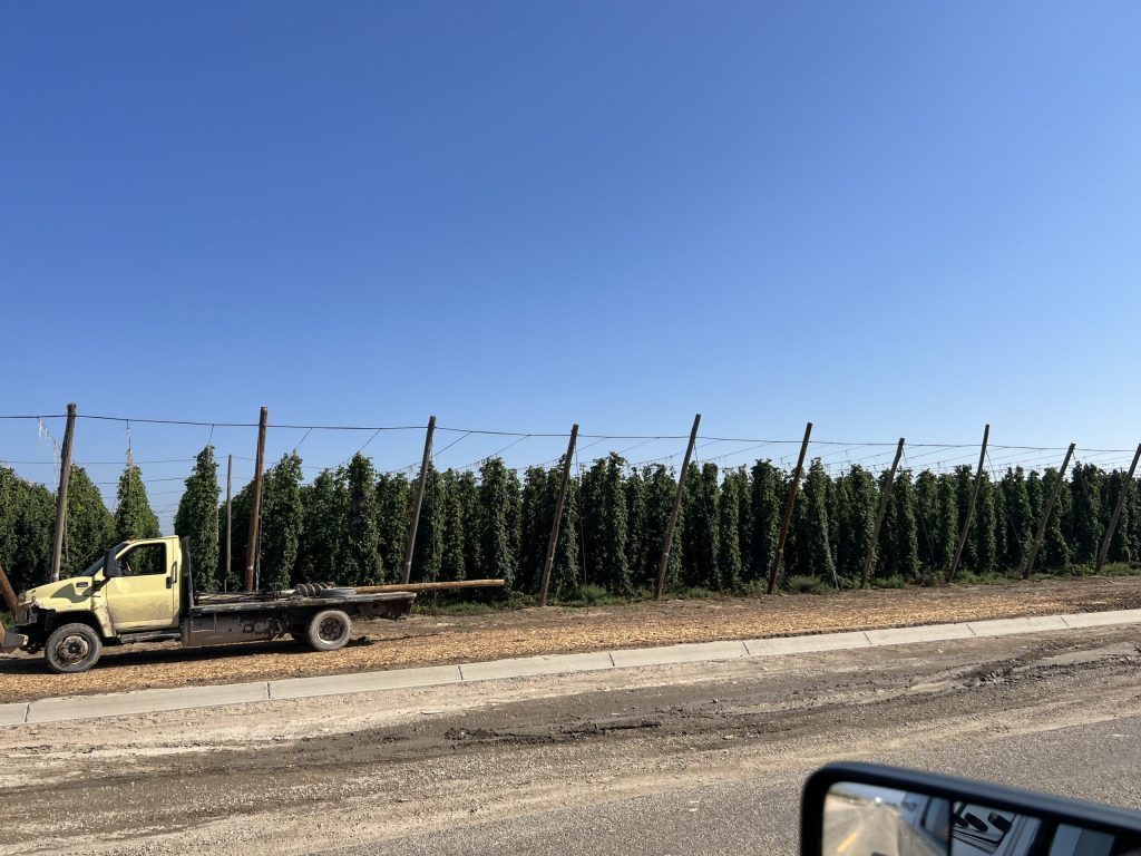 hops growing up and truck