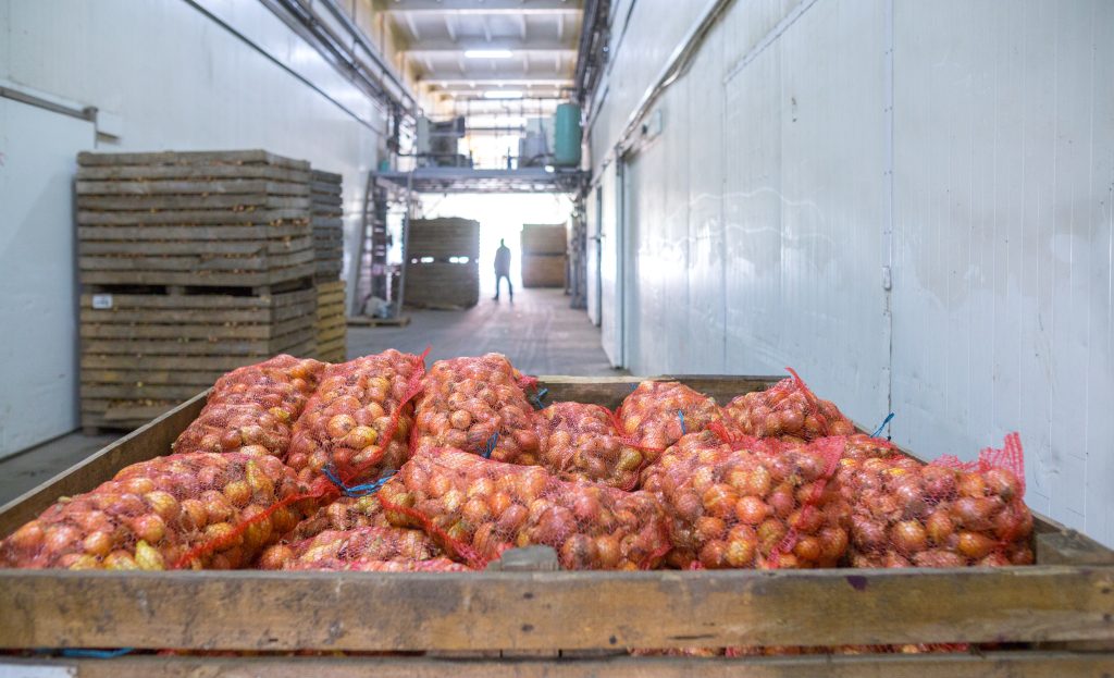 pallets of onions