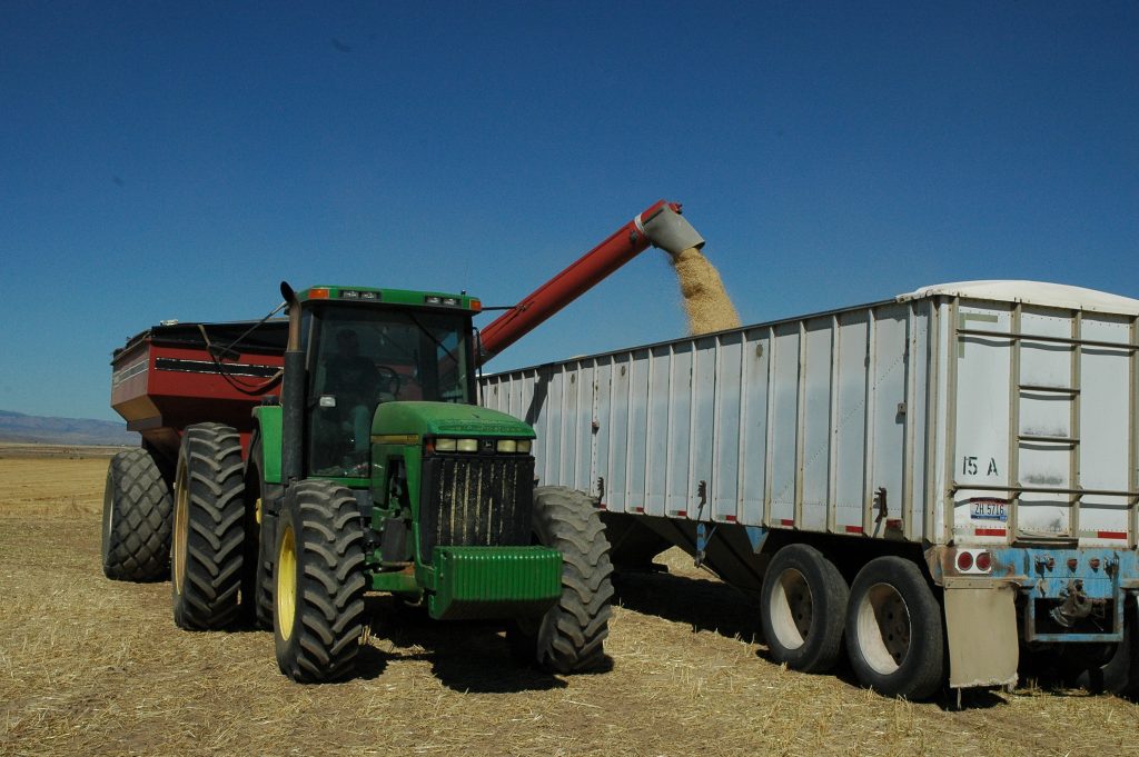 Tractor loading grain into a trailer
