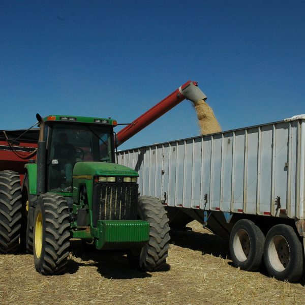 Tractor loading grain into a trailer
